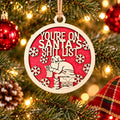 You're On Santa's Shit List Ornament